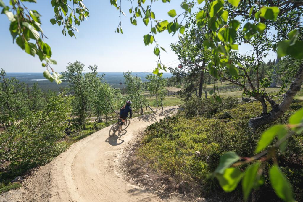 A person riding down a flow trail at Ylläs Bike Park. Surrounded by green birch trees and forest ground cover, with a clear sky and summer sunshine in the background.