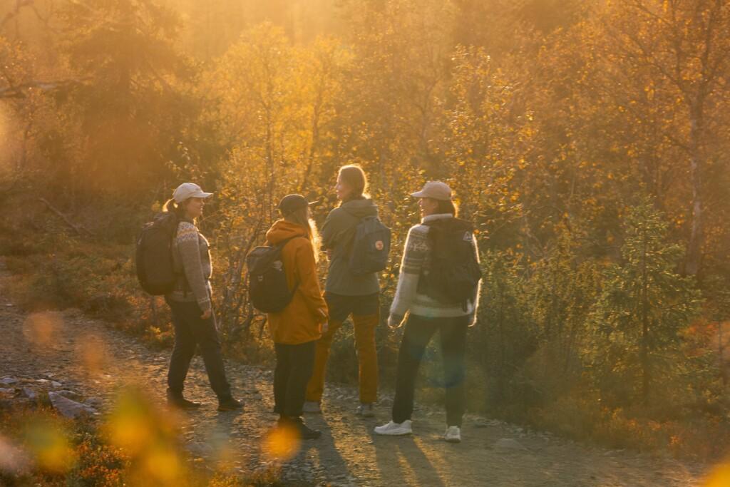 Four hikers with backpacks on a trail, admiring the low autumn sun and the vibrant colours of ruska. Birch trees dressed in autumn colours in the background.