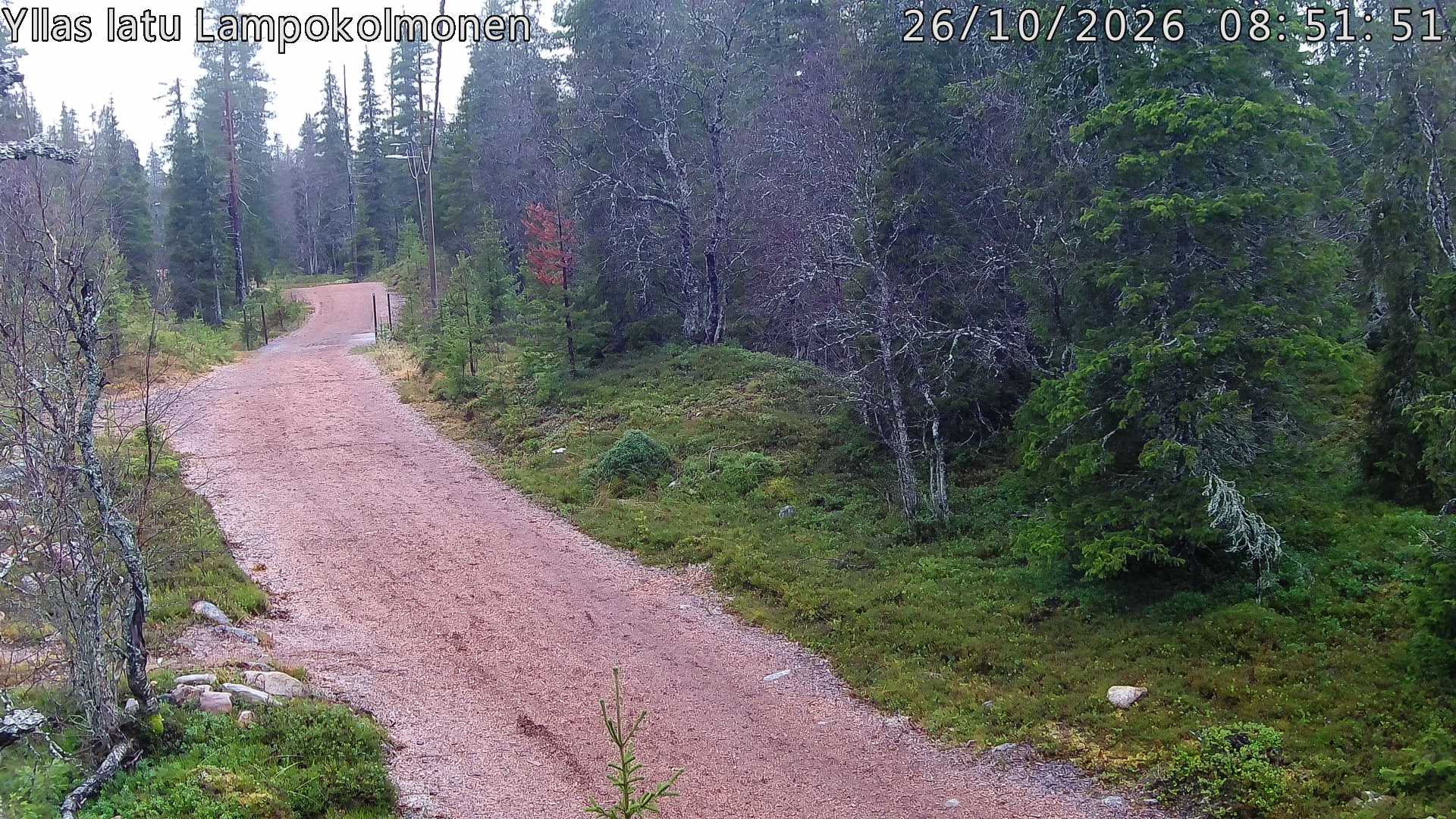 Hiihtolatu ja kuntorata metsän keskellä. Pimeään aikaan aamusta iltaan valaistu.