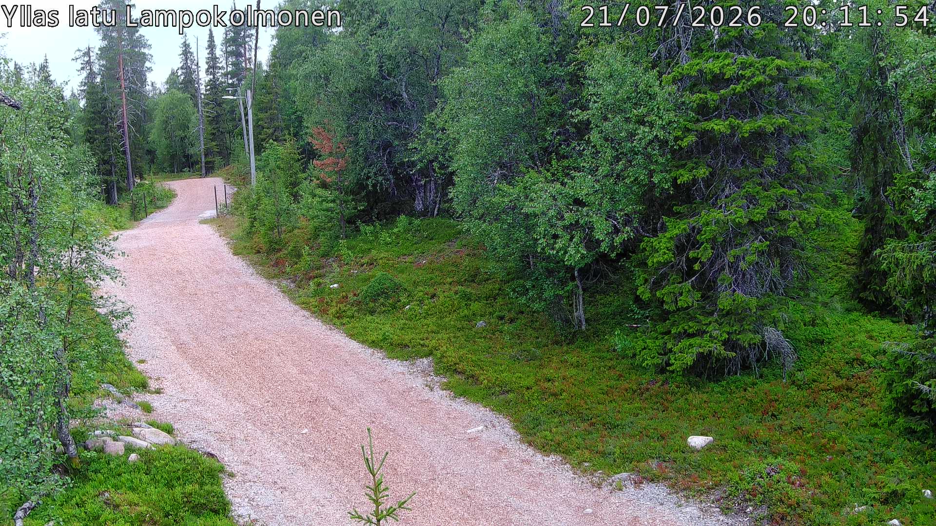 Hiihtolatu ja kuntorata metsän keskellä. Pimeään aikaan aamusta iltaan valaistu.