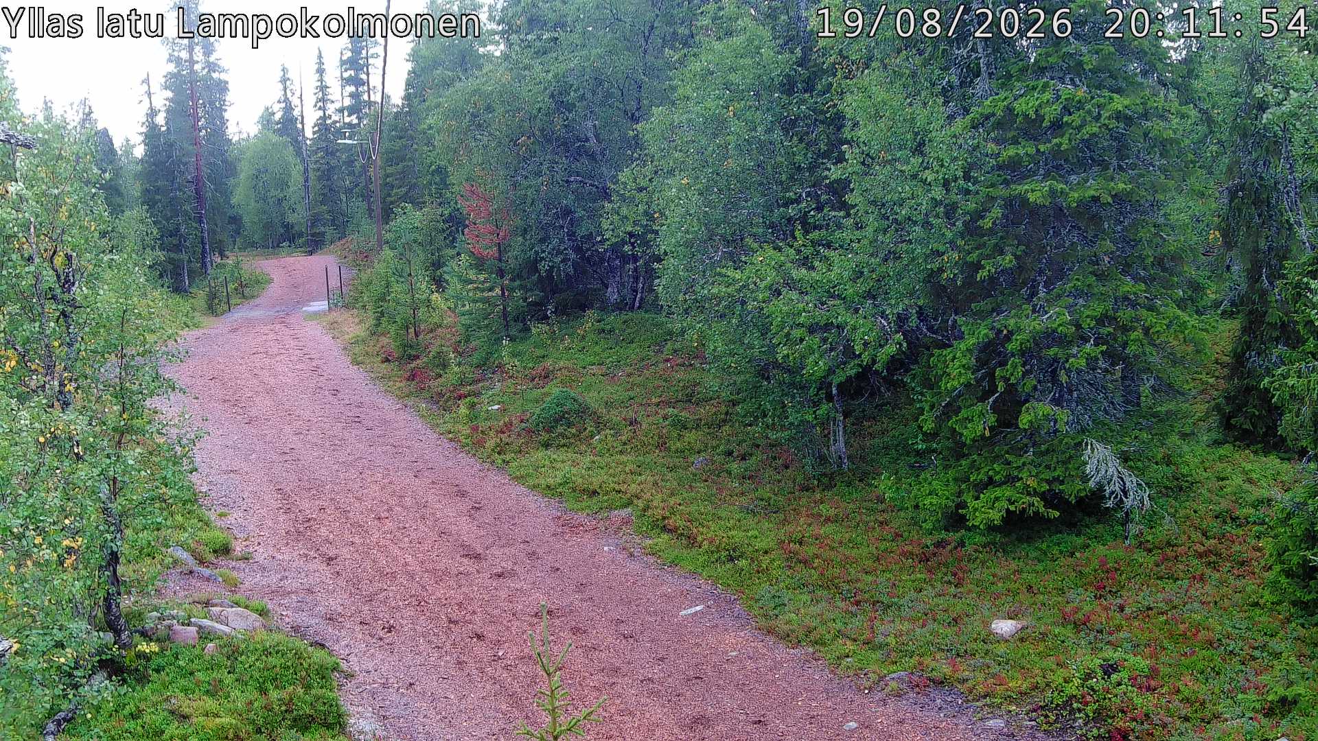 Hiihtolatu ja kuntorata metsän keskellä. Pimeään aikaan aamusta iltaan valaistu.