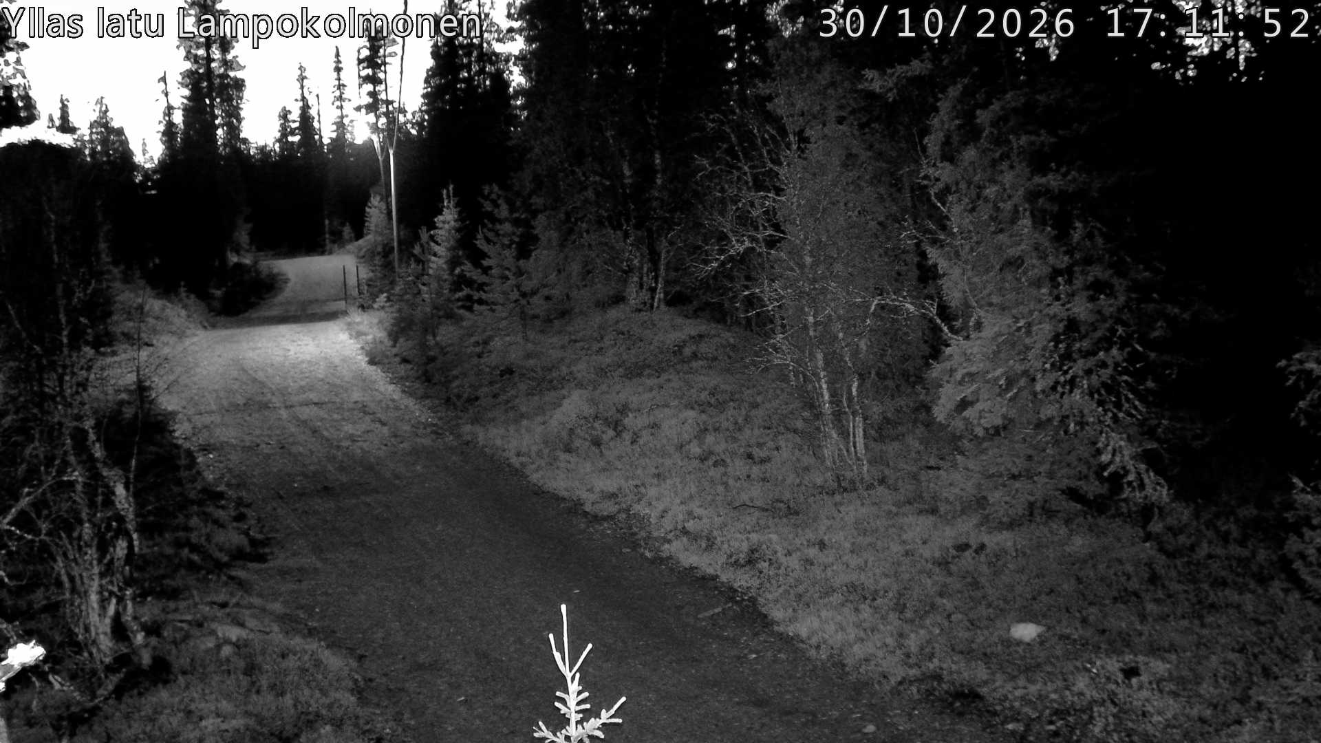 Hiihtolatu ja kuntorata metsän keskellä. Pimeään aikaan aamusta iltaan valaistu.