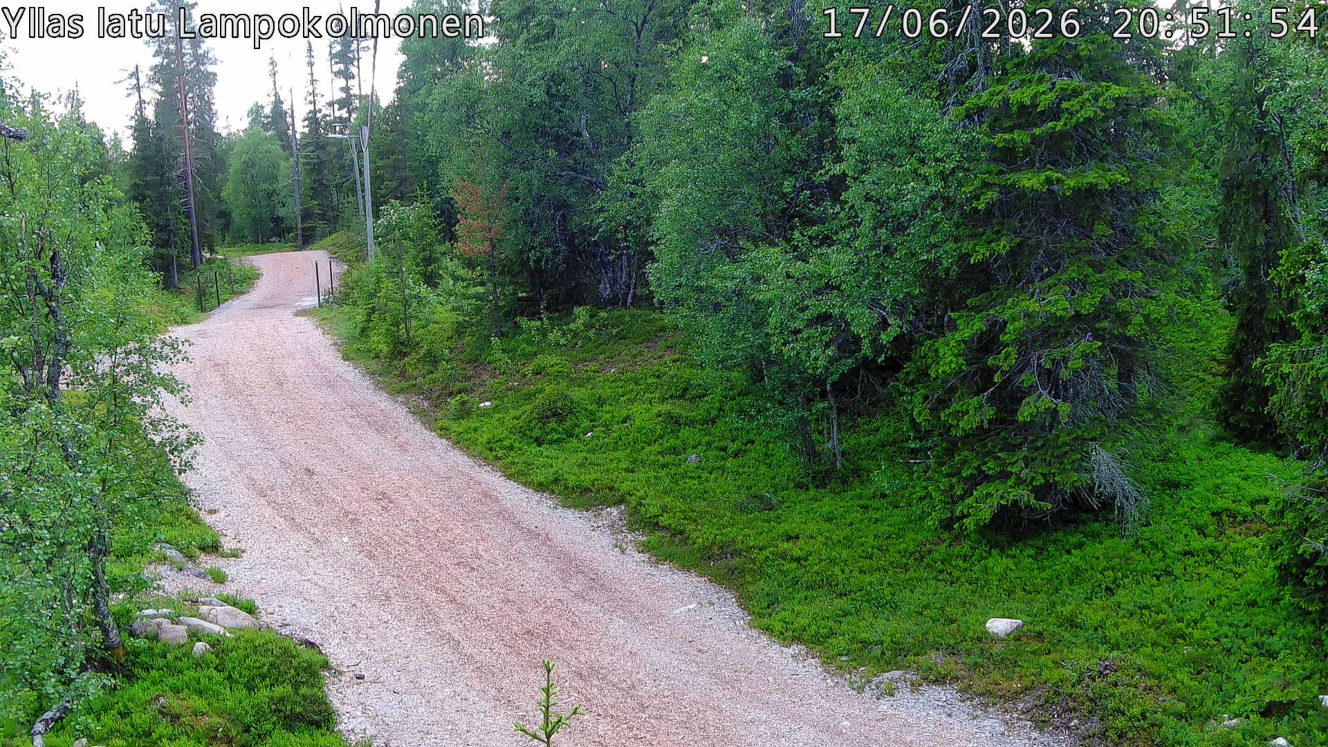 Hiihtolatu ja kuntorata metsän keskellä. Pimeään aikaan aamusta iltaan valaistu.