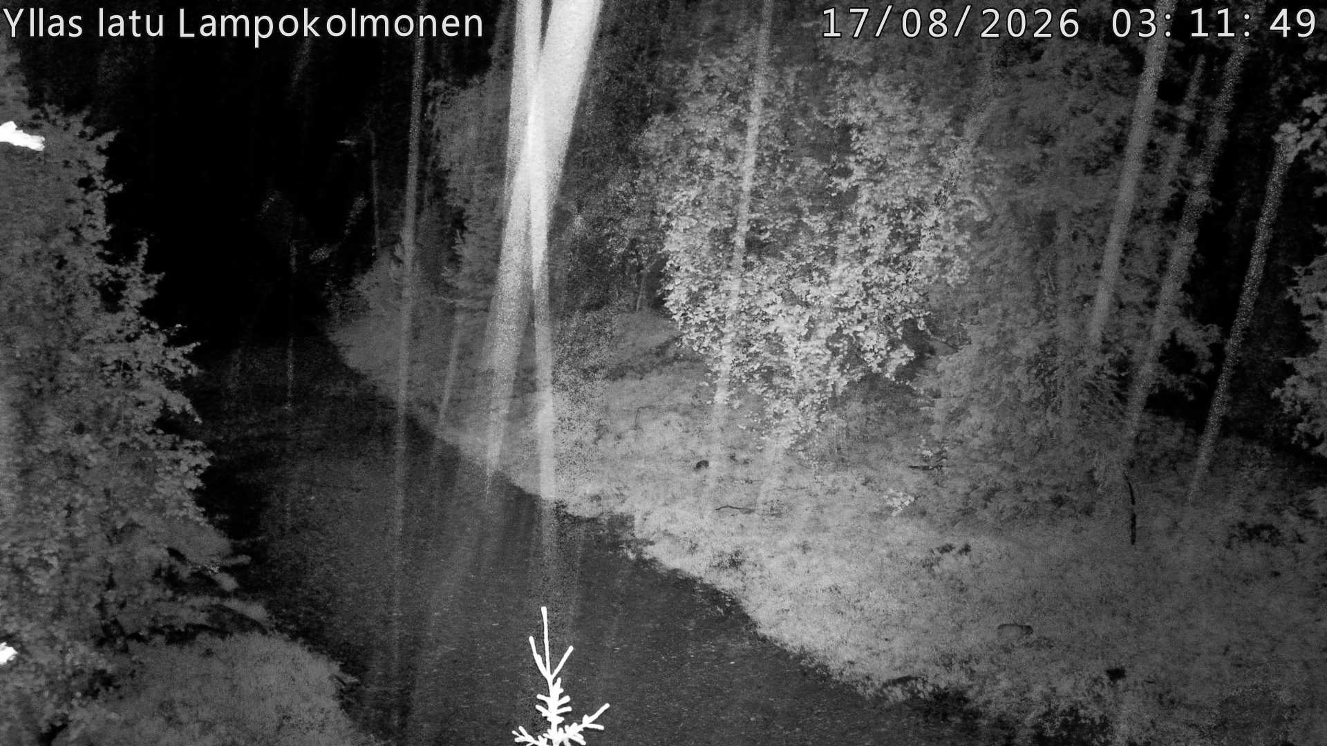 Hiihtolatu ja kuntorata metsän keskellä. Pimeään aikaan aamusta iltaan valaistu.