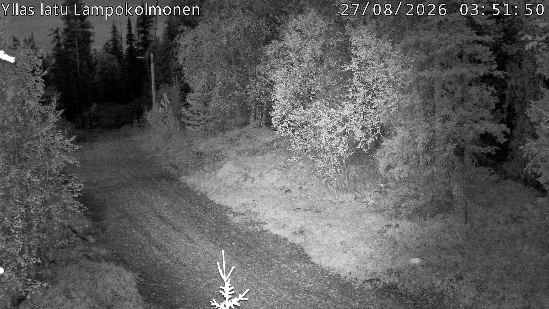 Hiihtolatu ja kuntorata metsän keskellä. Pimeään aikaan aamusta iltaan valaistu.