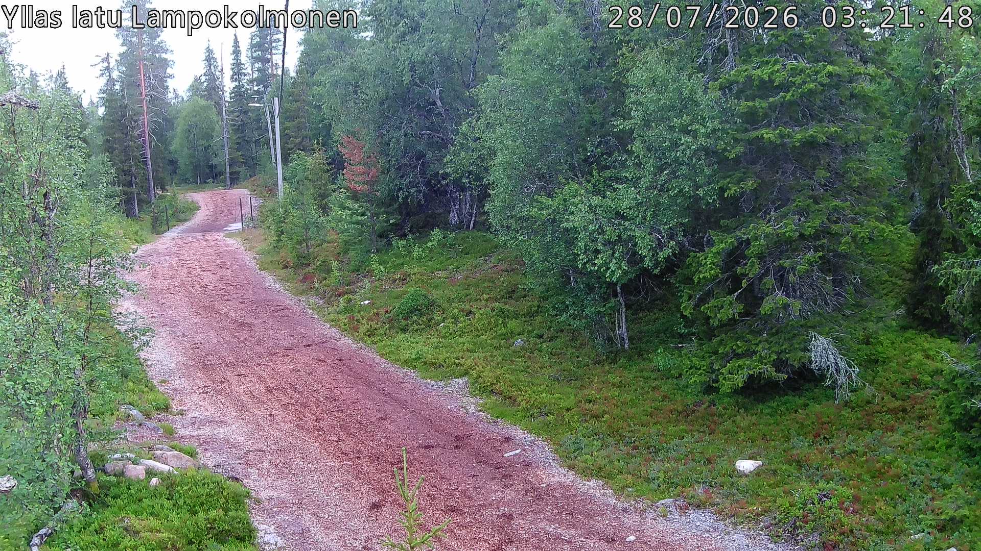 Hiihtolatu ja kuntorata metsän keskellä. Pimeään aikaan aamusta iltaan valaistu.