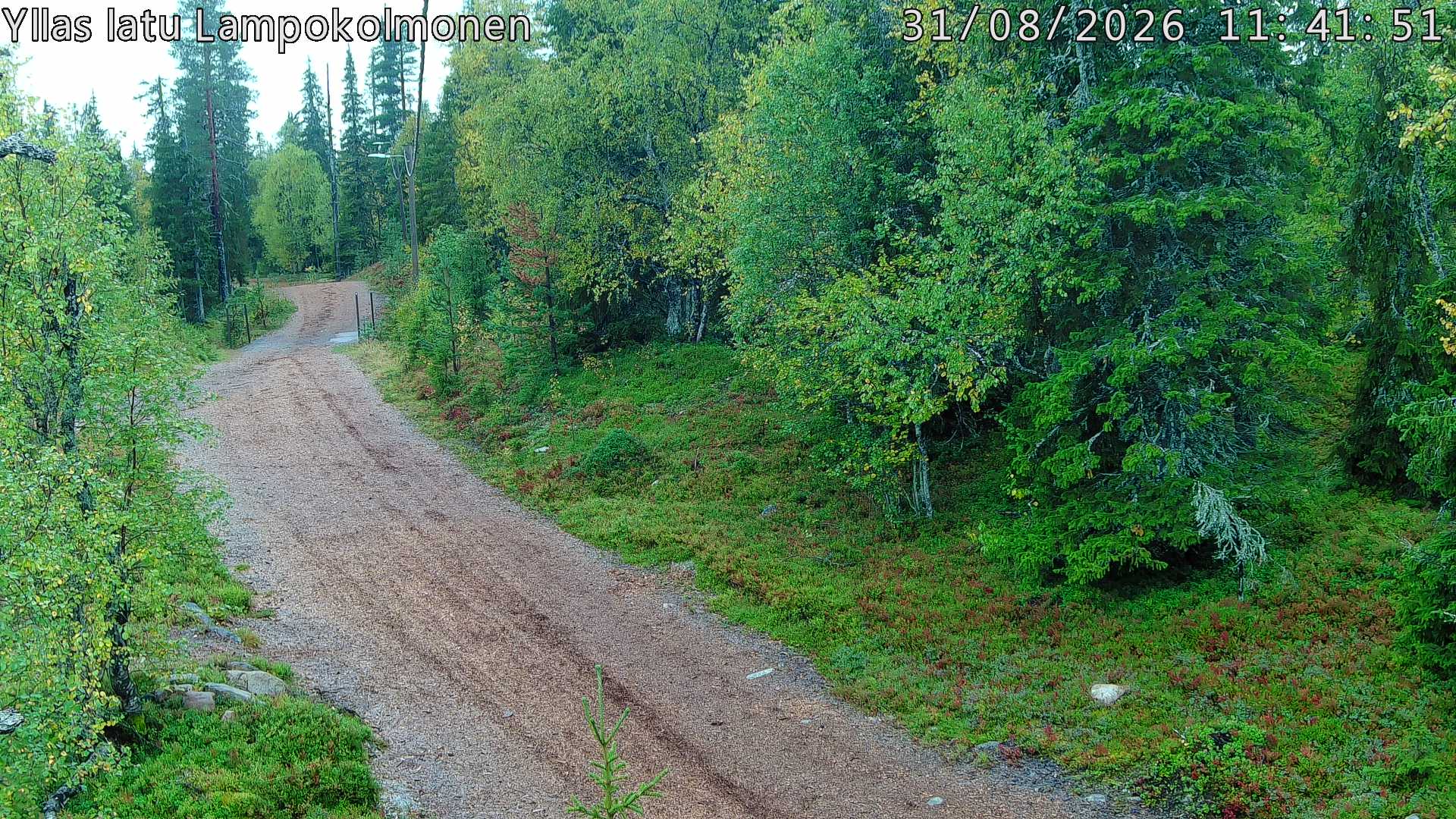 Hiihtolatu ja kuntorata metsän keskellä. Pimeään aikaan aamusta iltaan valaistu.