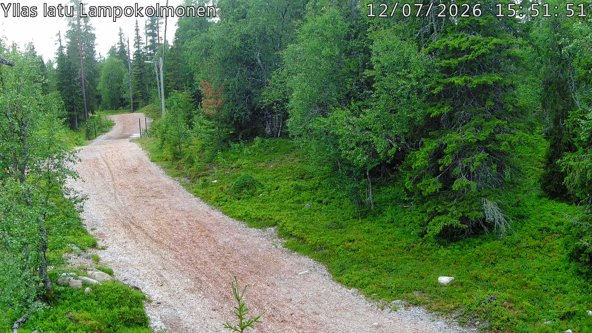 Hiihtolatu ja kuntorata metsän keskellä. Pimeään aikaan aamusta iltaan valaistu.