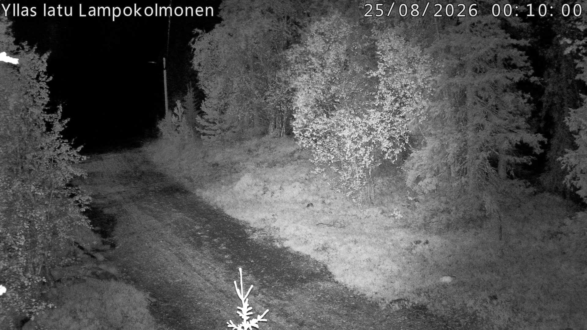Hiihtolatu ja kuntorata metsän keskellä. Pimeään aikaan aamusta iltaan valaistu.