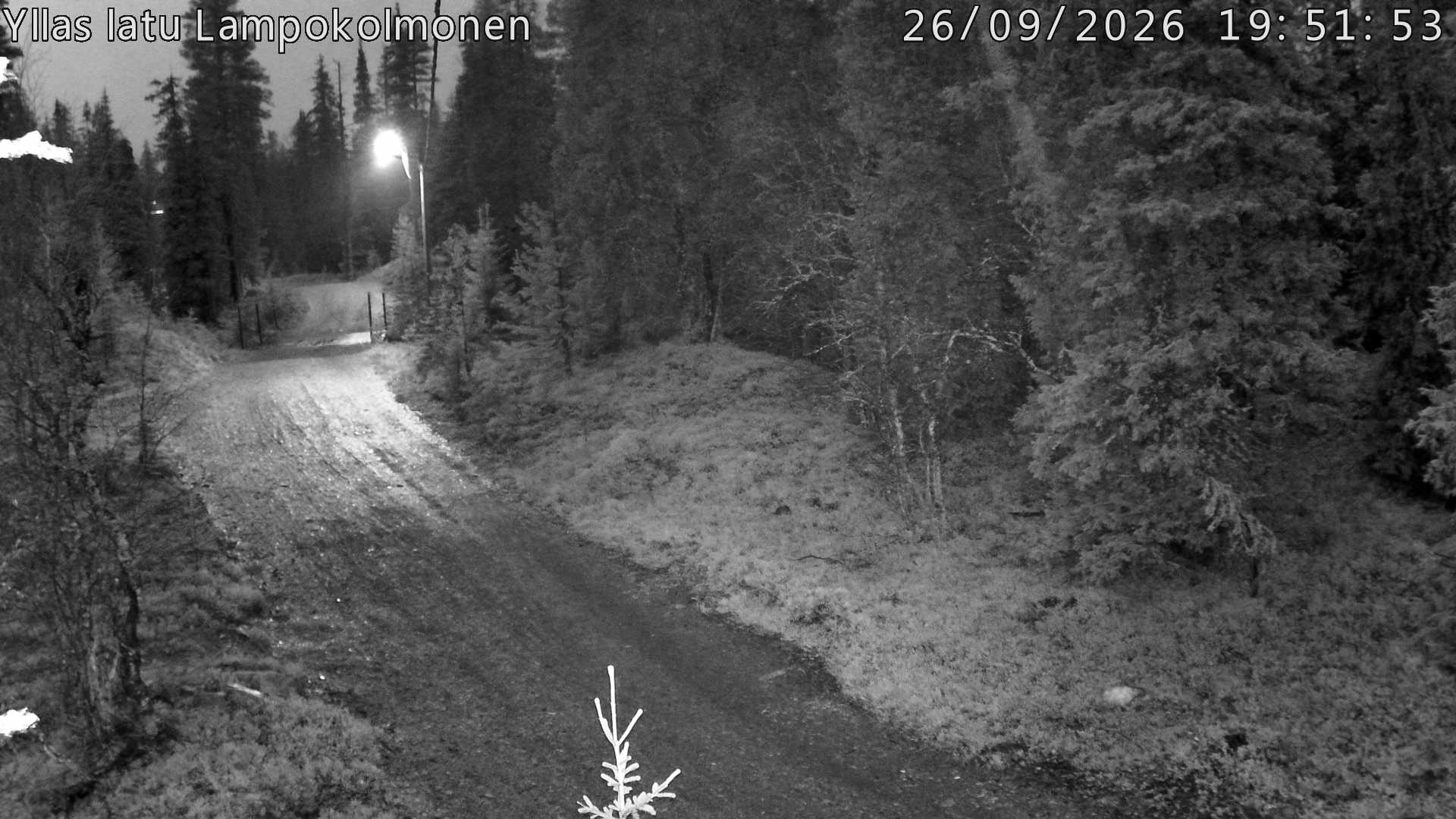 Hiihtolatu ja kuntorata metsän keskellä. Pimeään aikaan aamusta iltaan valaistu.