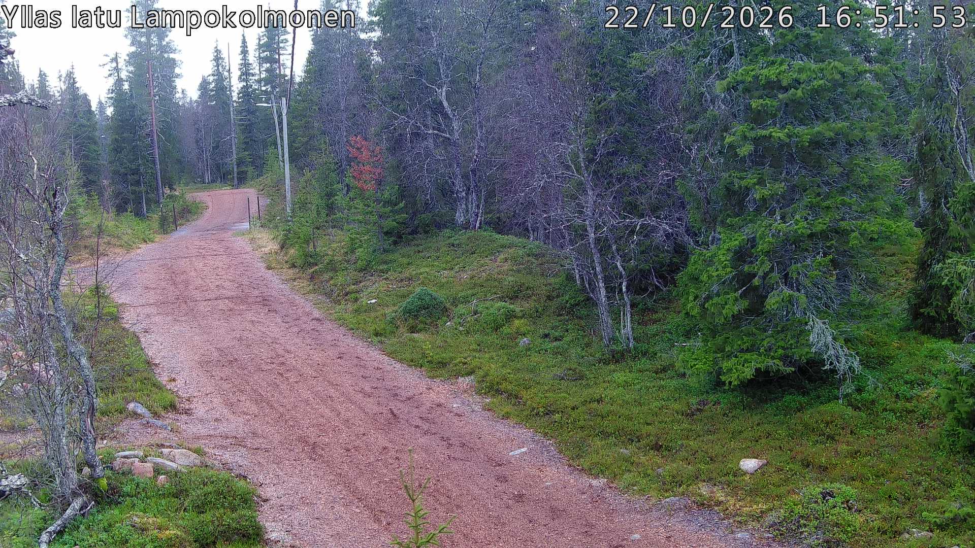 Hiihtolatu ja kuntorata metsän keskellä. Pimeään aikaan aamusta iltaan valaistu.