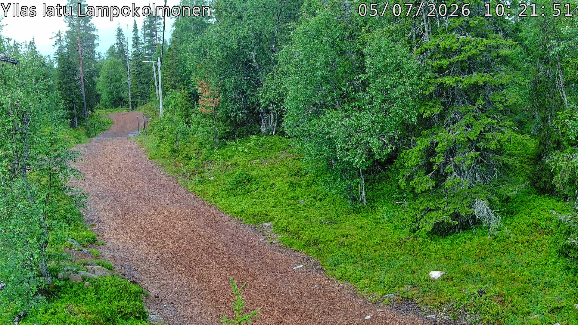 Hiihtolatu ja kuntorata metsän keskellä. Pimeään aikaan aamusta iltaan valaistu.
