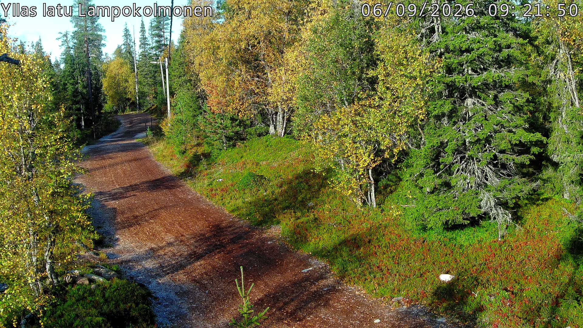 Hiihtolatu ja kuntorata metsän keskellä. Pimeään aikaan aamusta iltaan valaistu.