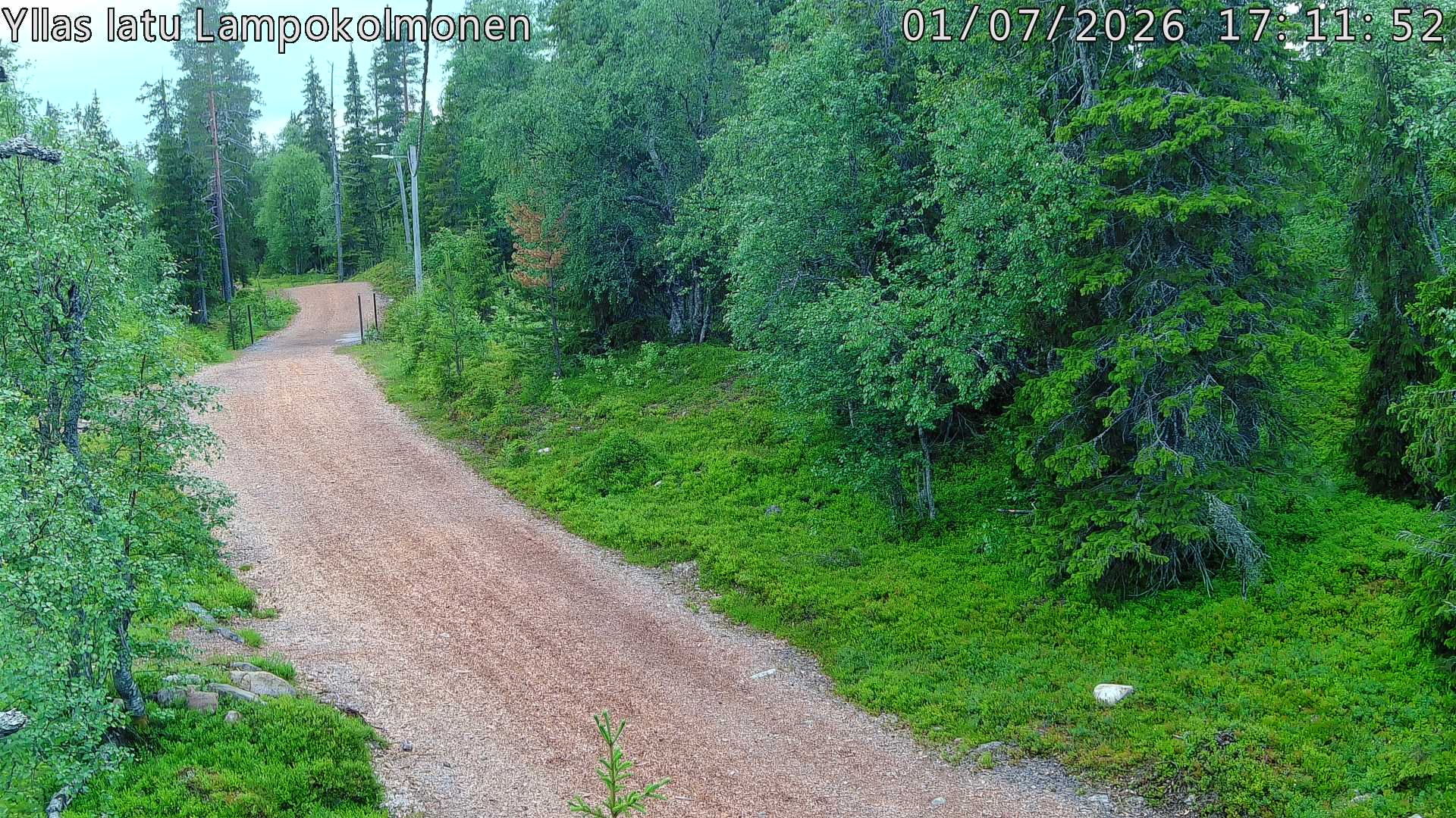 Hiihtolatu ja kuntorata metsän keskellä. Pimeään aikaan aamusta iltaan valaistu.