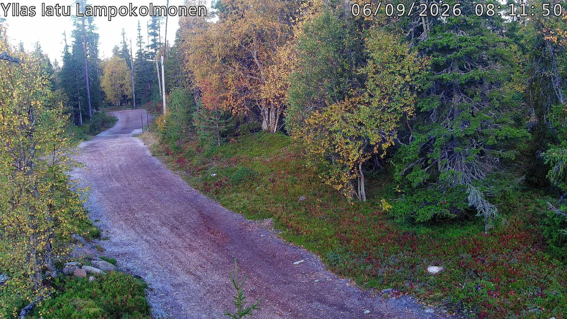 Hiihtolatu ja kuntorata metsän keskellä. Pimeään aikaan aamusta iltaan valaistu.