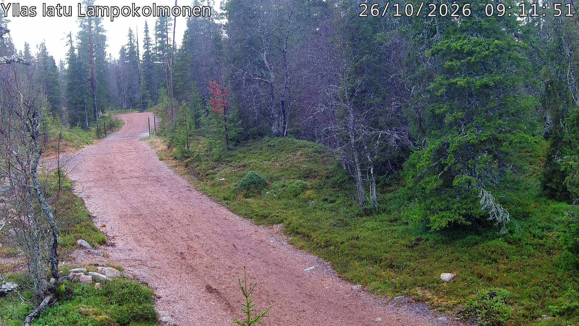 Hiihtolatu ja kuntorata metsän keskellä. Pimeään aikaan aamusta iltaan valaistu.