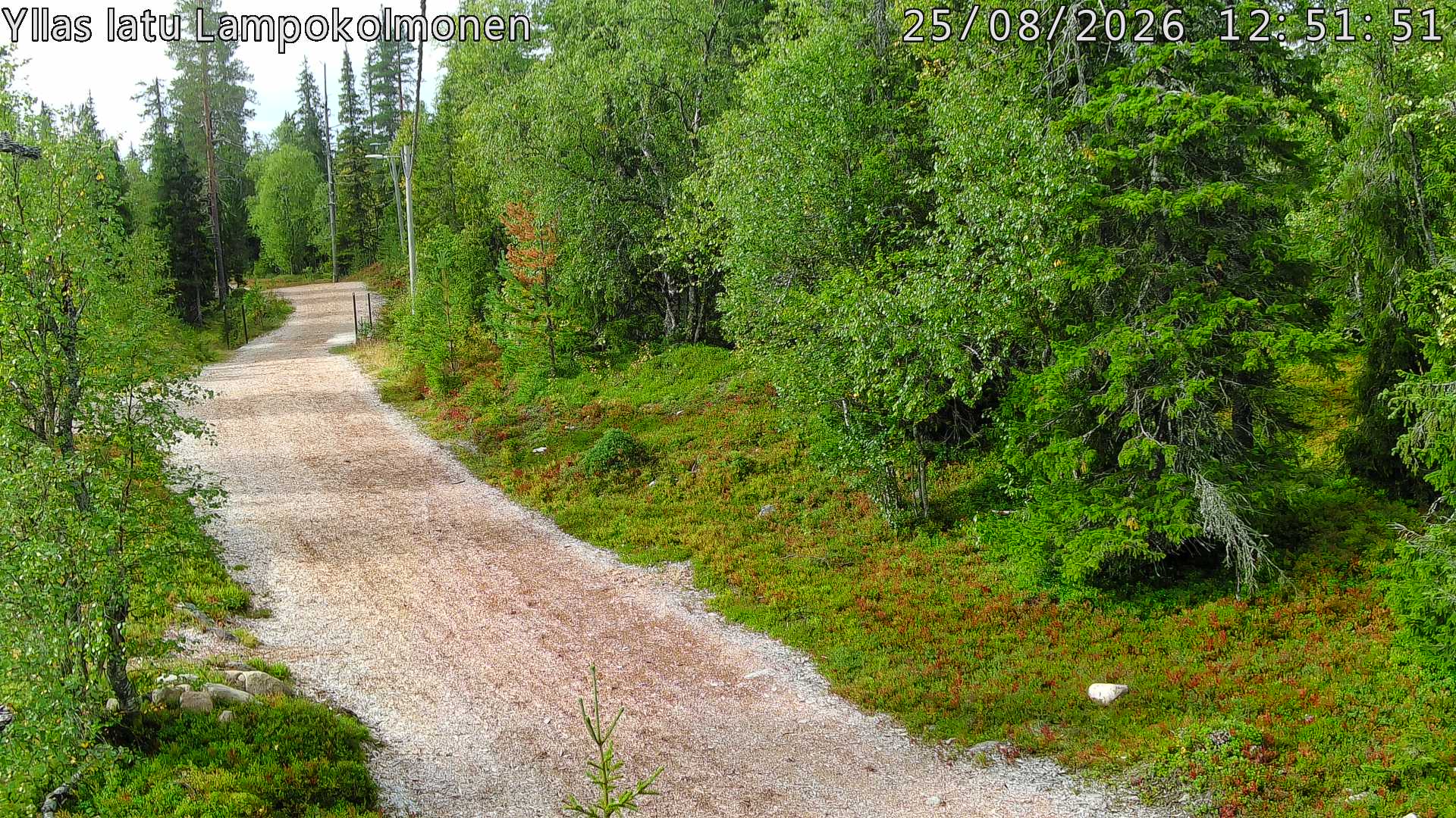Hiihtolatu ja kuntorata metsän keskellä. Pimeään aikaan aamusta iltaan valaistu.