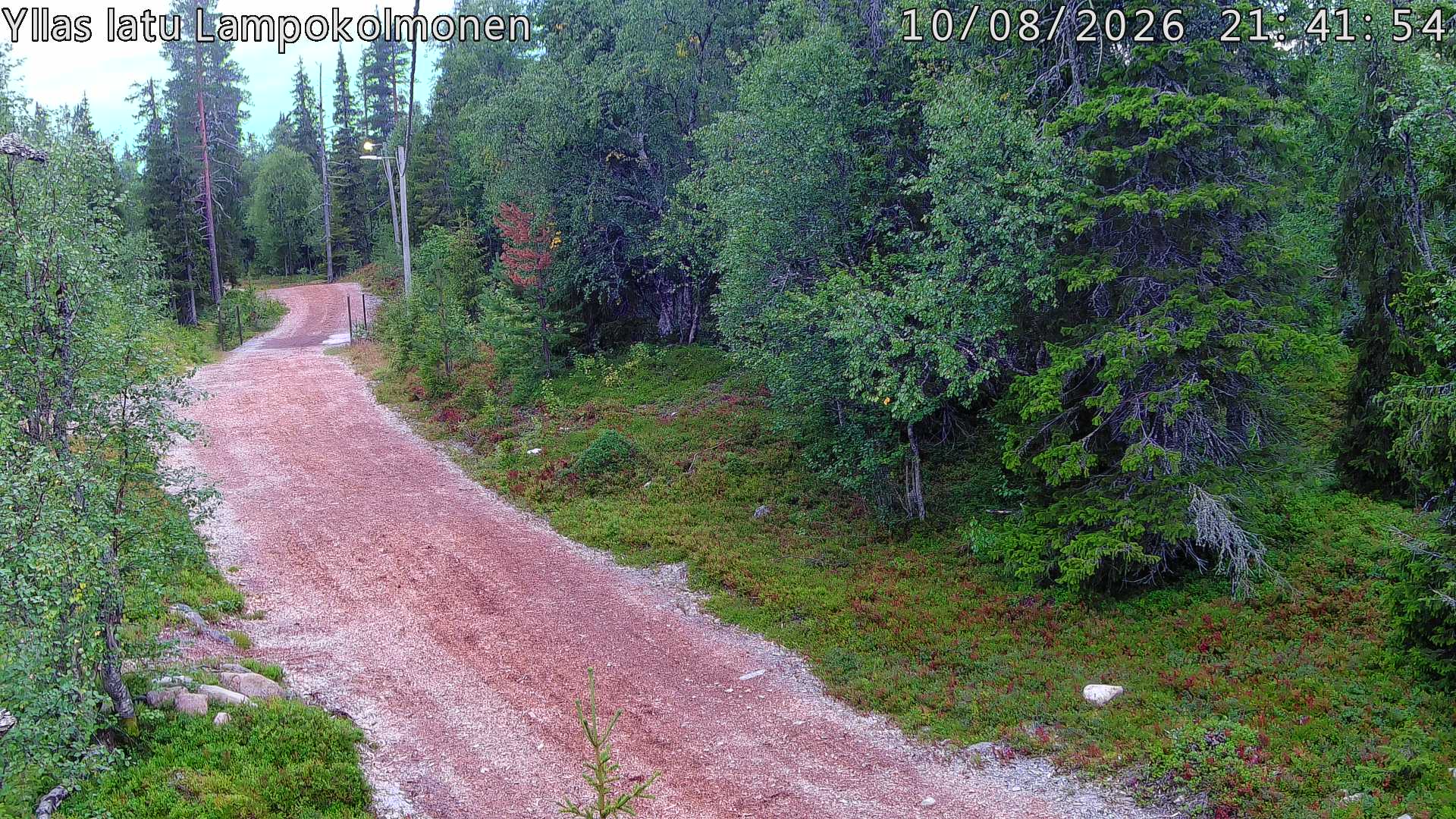 Hiihtolatu ja kuntorata metsän keskellä. Pimeään aikaan aamusta iltaan valaistu.