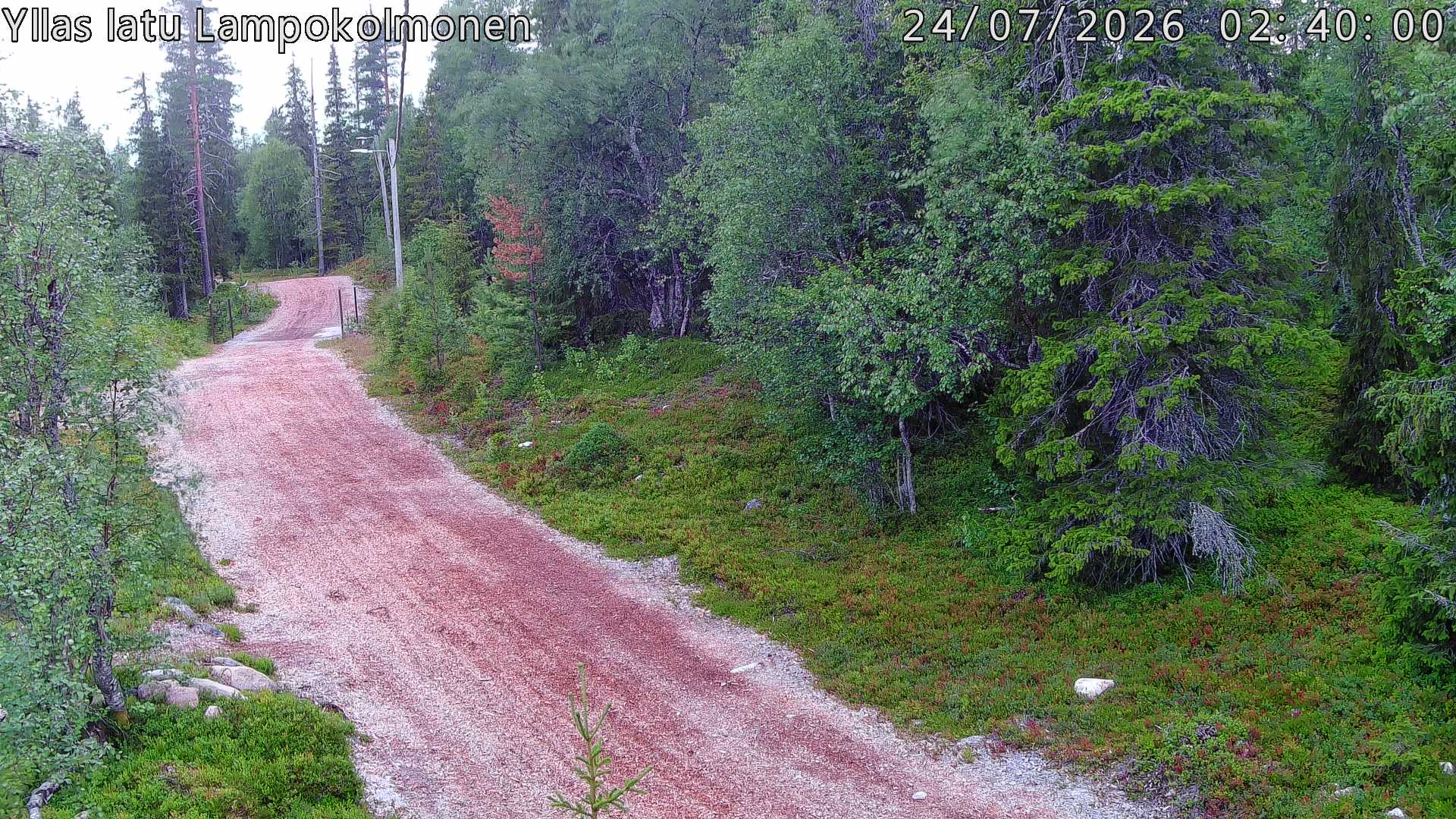 Hiihtolatu ja kuntorata metsän keskellä. Pimeään aikaan aamusta iltaan valaistu.