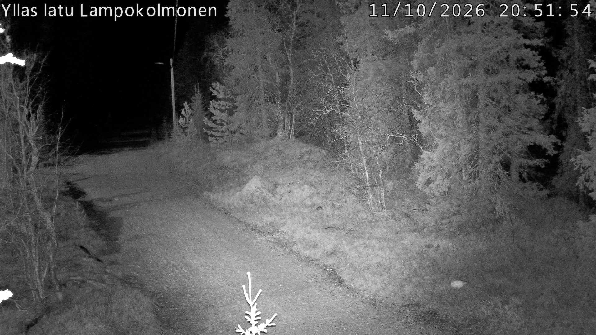 Hiihtolatu ja kuntorata metsän keskellä. Pimeään aikaan aamusta iltaan valaistu.